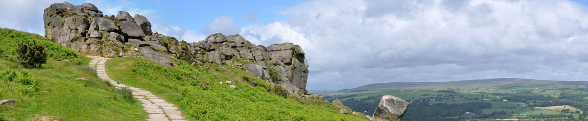 cow-calf1200.jpg
